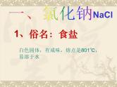 第十一单元课题一生活中常见的盐课件  九年级化学人教版下册