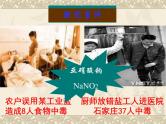 第十一单元课题一生活中常见的盐课件  九年级化学人教版下册