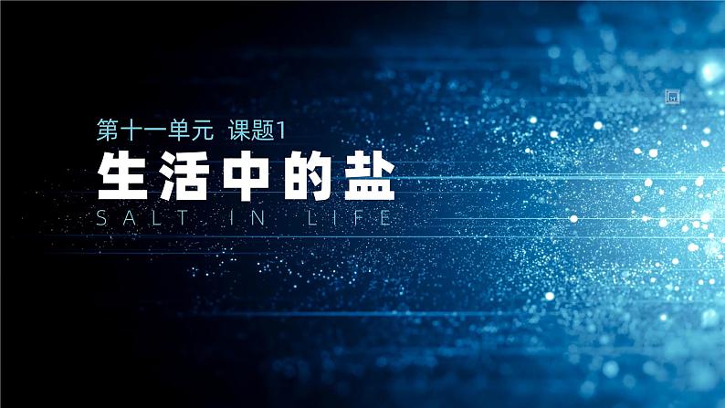 第十一单元课题一 生活中常见的盐课件  九年级化学人教版下册01