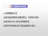 第十单元实验活动七　溶液酸碱性的检验课件  九年级化学人教版下册