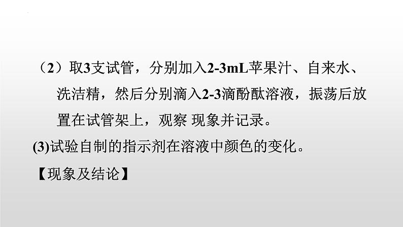 第十单元实验活动七　溶液酸碱性的检验课件  九年级化学人教版下册第6页