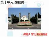 第十单元课题一常见的酸和碱课件 九年级化学人教版下册