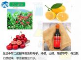第十单元课题一常见的酸和碱课件 九年级化学人教版下册