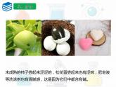 第十单元课题一常见的酸和碱课件 九年级化学人教版下册