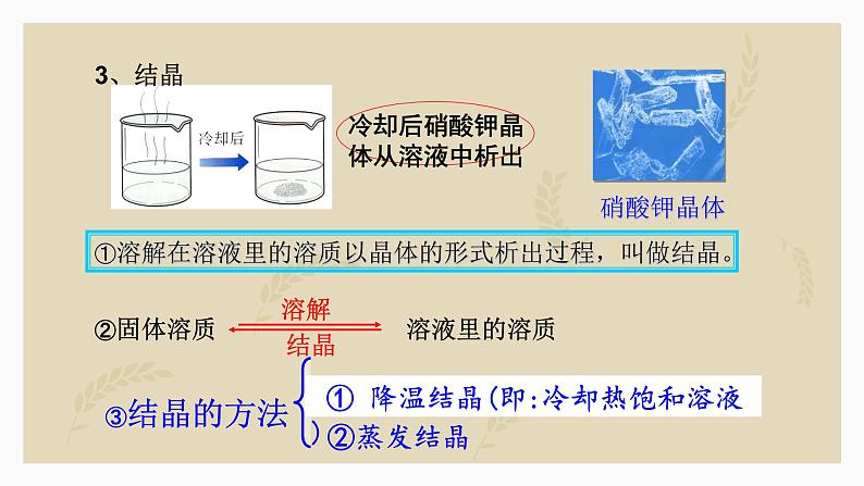 第九单元课题二 溶解度课件  九年级化学人教版下册06