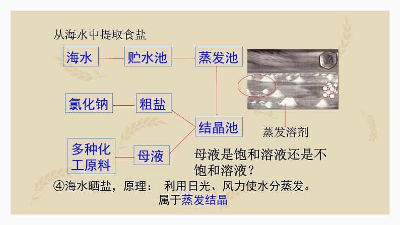 第九单元课题二 溶解度课件  九年级化学人教版下册07