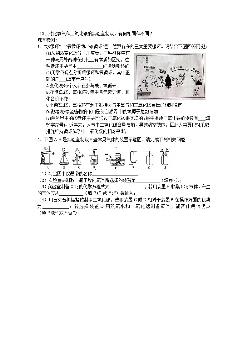 6.3大自然中的二氧化碳++第一课时+学案+鲁教版九年级化学上册第3页
