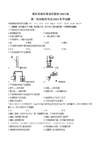 2023年重庆市九龙坡区实验外国语学校中考一模化学试题（含答案）