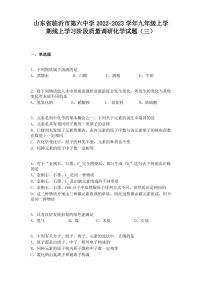 山东省临沂市第六中学2022-2023学年九年级上学期线上学习阶段质量调研化学试题(三)