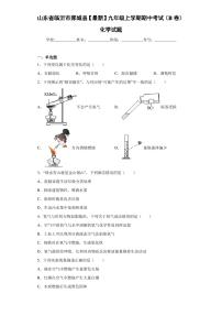 山东省临沂市郯城县2021届九年级上学期期中考试(B卷)化学试题