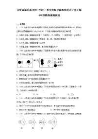 山东省滨州市2020-2022三年中考化学真题知识点分类汇编-02物质构成的奥秘