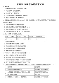 山东省威海市2019年中考化学试卷【含答案】