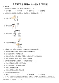 湖南省株洲市2023年九年级下学期期中（一模）化学试题【含答案】