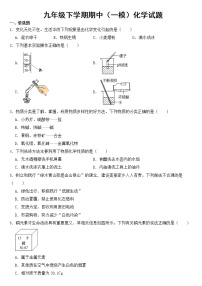 山东省临沂市2023年九年级下学期期中（一模）化学试题【含答案】