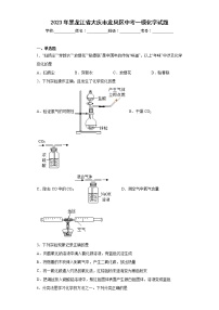 2023年黑龙江省大庆市龙凤区中考一模化学试题-（含答案）