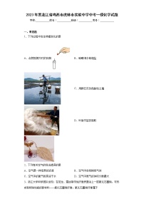 2023年黑龙江省鸡西市虎林市实验中学中考一模化学试题（含答案）
