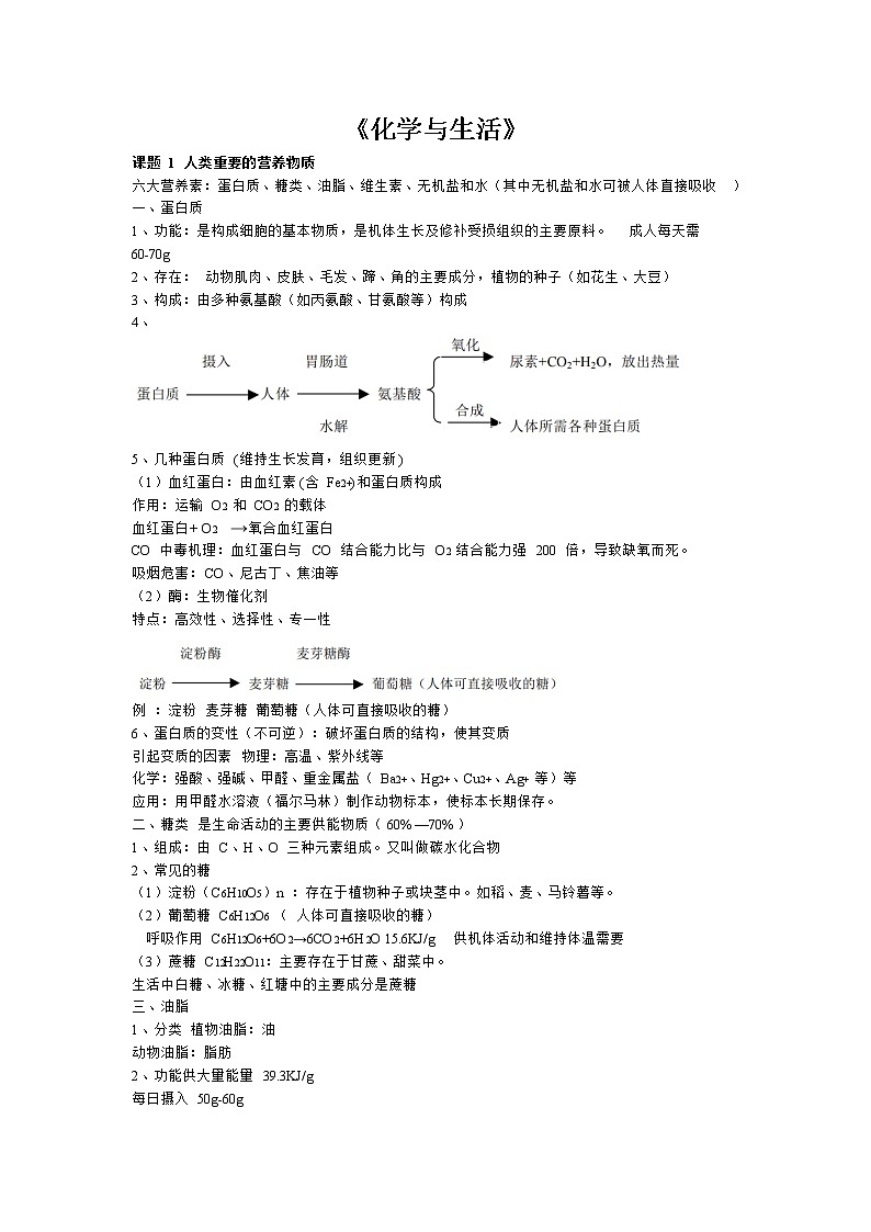 初三化学下册（春季班）讲义  第07讲 化学与生活（基础版） 教师版第1页