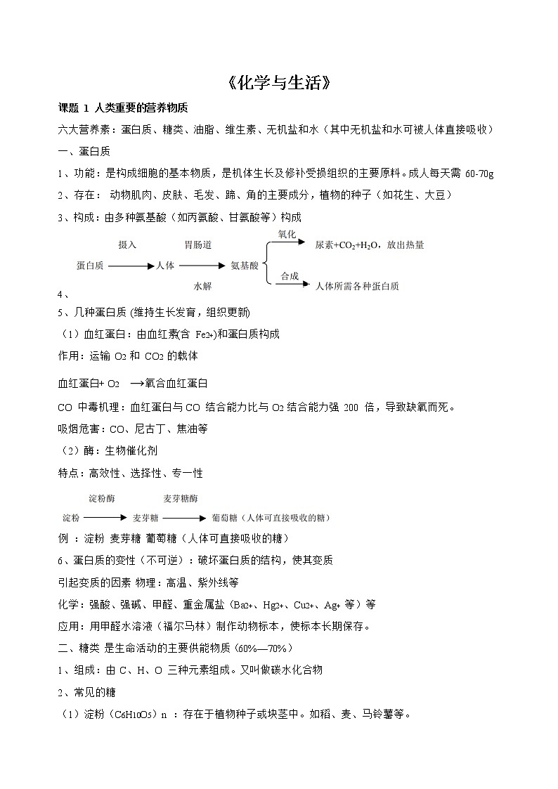 初三化学下册（春季班）讲义  第07讲 化学与生活（强化版） 教师版第1页