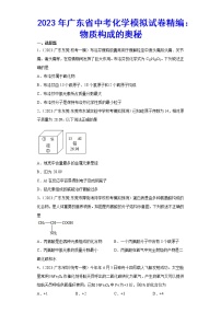 2023年广东省中考化学模拟试卷精编：物质构成的奥秘