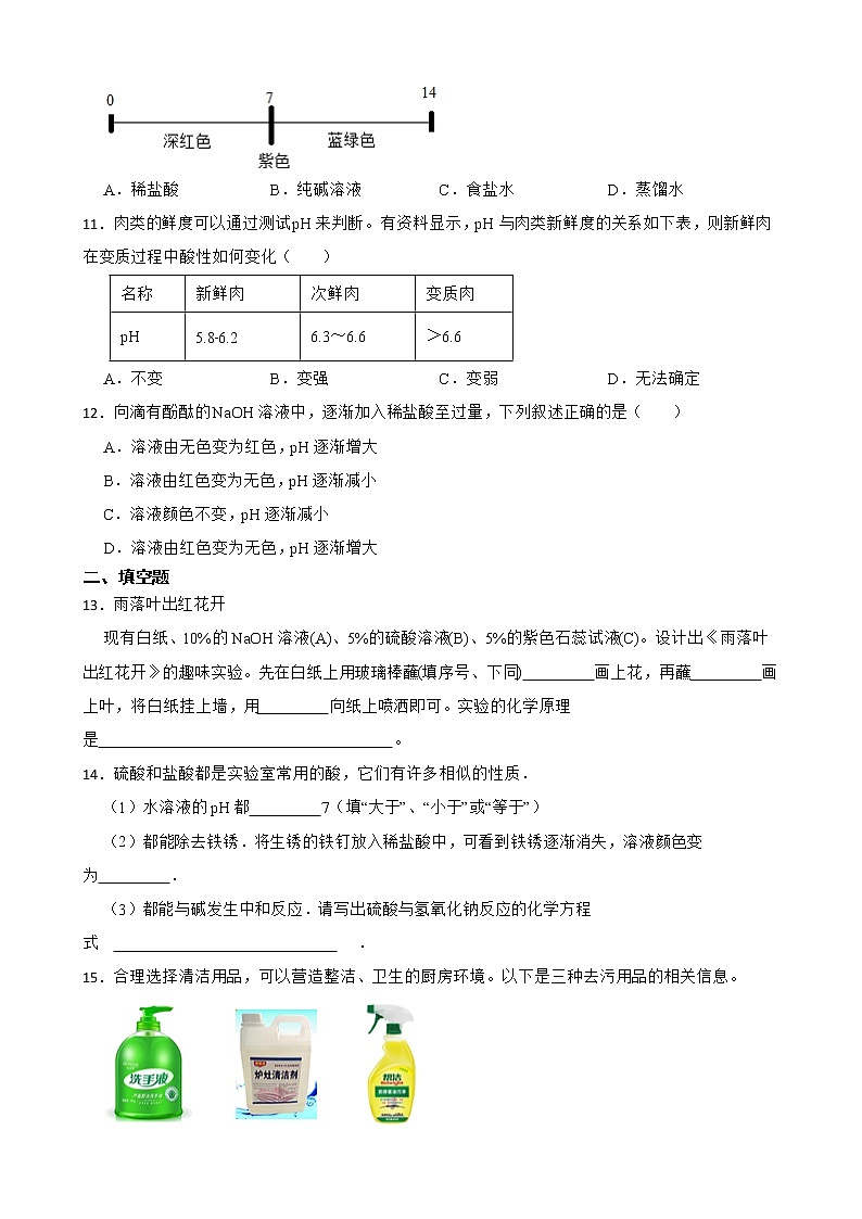 2023年中考化学二轮专题复习--溶液的酸碱性第3页