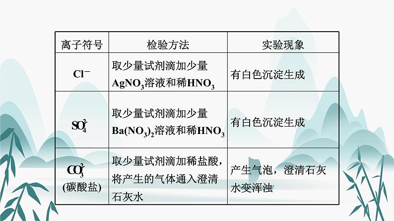 3.专题三  物质的检验、鉴别和共存课件PPT06