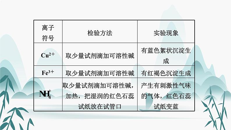 3.专题三  物质的检验、鉴别和共存课件PPT07