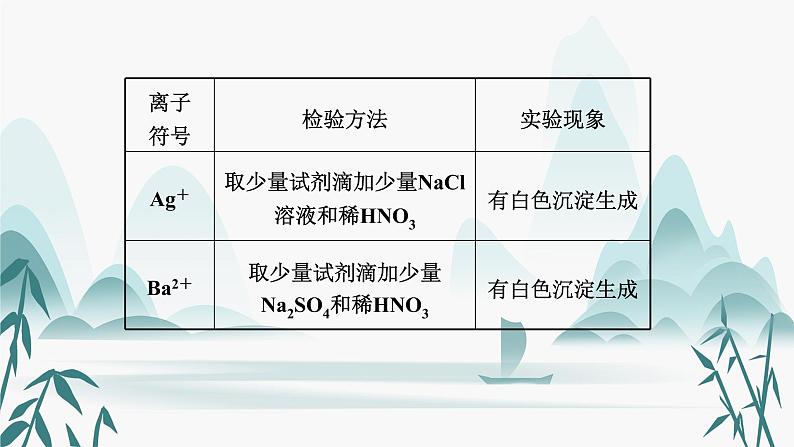 3.专题三  物质的检验、鉴别和共存课件PPT08