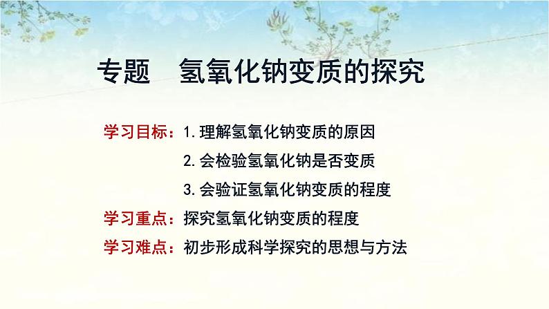 2023年中考化学二轮专题复习氢氧化钠变质的探究课件第1页