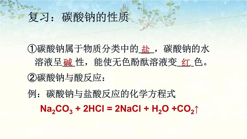 2023年中考化学二轮专题复习氢氧化钠变质的探究课件第2页