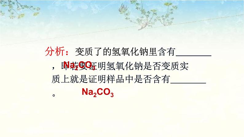 2023年中考化学二轮专题复习氢氧化钠变质的探究课件第6页