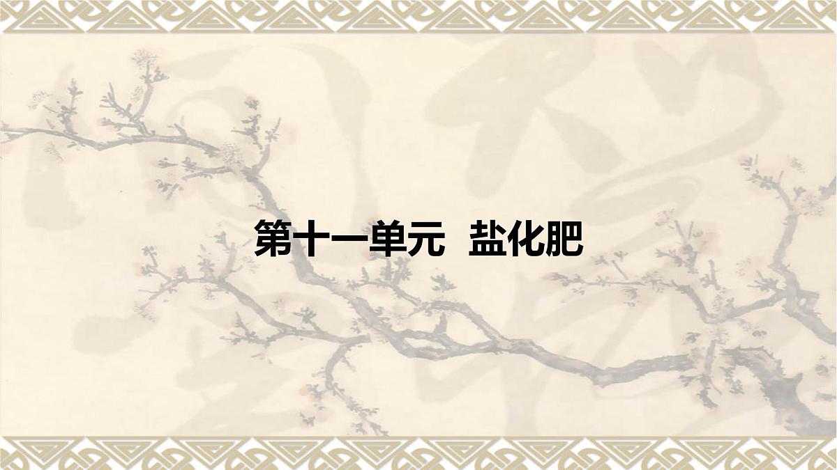 2023年中考化学一轮复习第十一单元盐化肥 课件PPT第1页