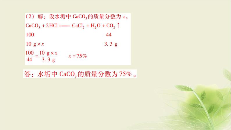 中考化学复习专题五化学计算（第1课时）课件第6页