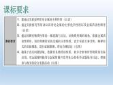 中考化学复习考点5金属的化学性质和金属活动性课件