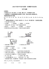 2023年河南省濮阳市中考一模化学试题（含答案）