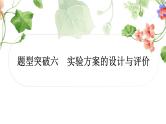 中考化学复习题型突破六实验方案的设计与评价练习课件