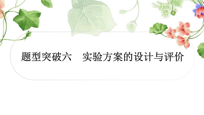 中考化学复习题型突破六实验方案的设计与评价练习课件第1页