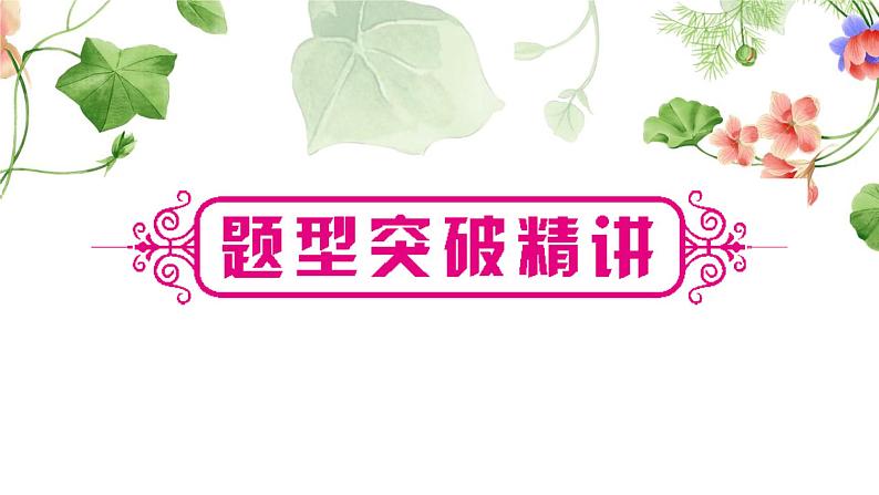 中考化学复习题型突破六实验方案的设计与评价练习课件第3页