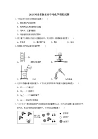 2023河北省衡水市中考化学模拟试题