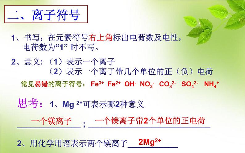 2023年中考化学用语专题复习课件PPT第5页