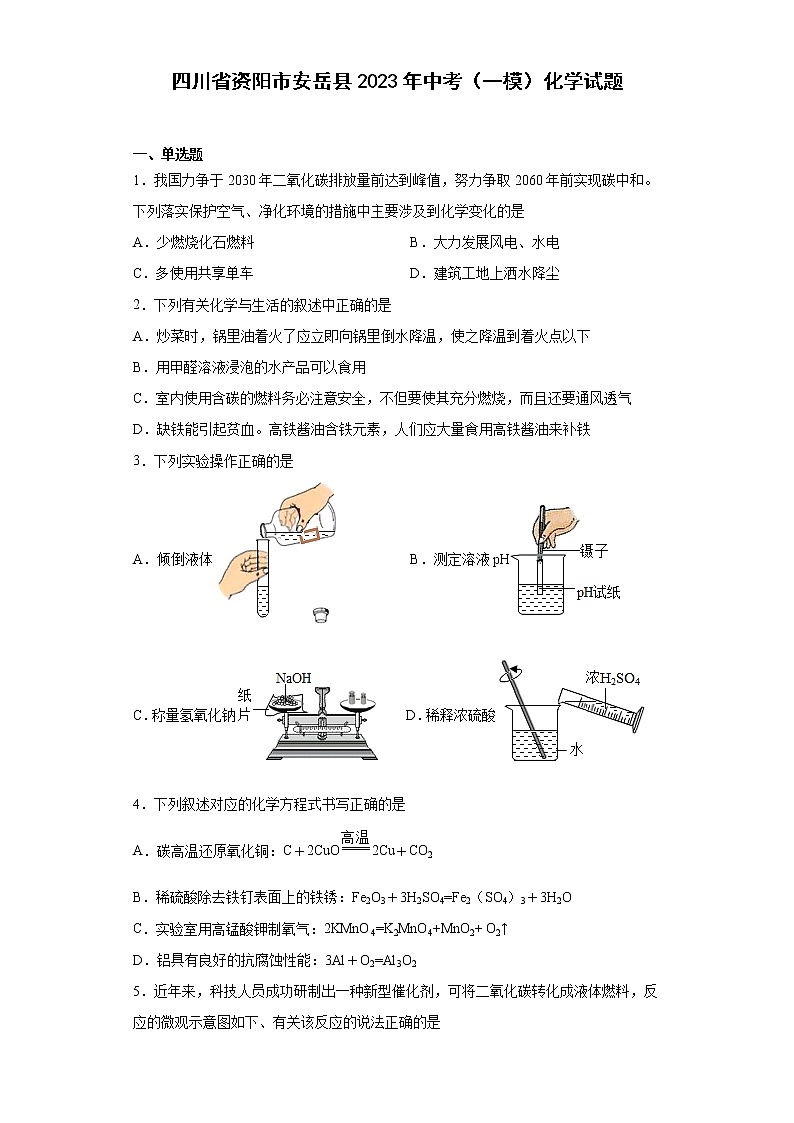 四川省资阳市安岳县2023年中考（一模）化学试题第1页