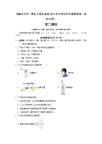 黄金卷2-【赢在中考·黄金8卷】备战2023年中考化学全真模拟卷（武汉专用）