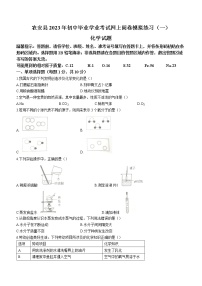 2023年吉林省长春市农安县中考一模化学试题（含答案）