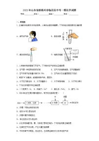 2023年山东省的德州市临邑县中考一模化学试题(含解析)