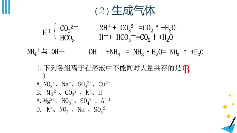 2023年中考化学二轮复习离子共存、离子子检验课件PPT第5页