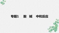 2023年中考化学知识点一轮全梳理精讲复习课件专题1 酸 碱 中和反应