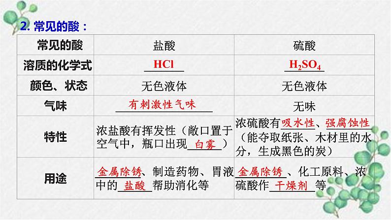 2023年中考化学知识点一轮全梳理精讲复习课件专题1 酸 碱 中和反应第3页