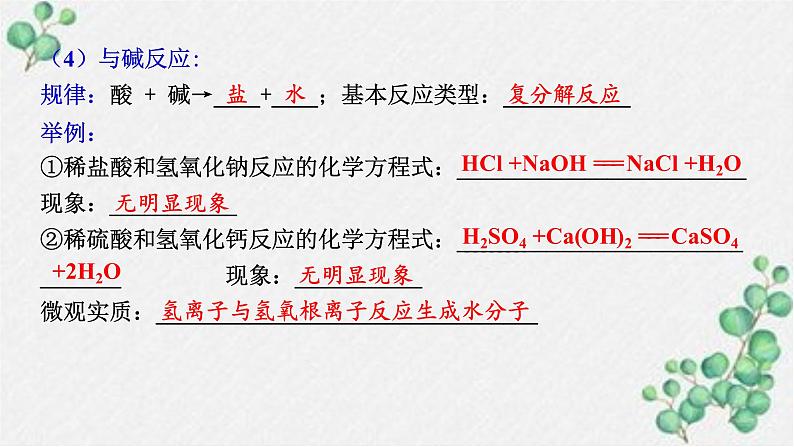 2023年中考化学知识点一轮全梳理精讲复习课件专题1 酸 碱 中和反应第8页