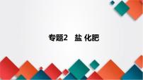 2023年中考化学知识点一轮全梳理精讲复习课件专题2 盐  化肥