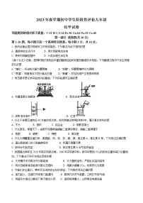 2023年江苏省泰州市兴化市中考一模化学试题（含答案）