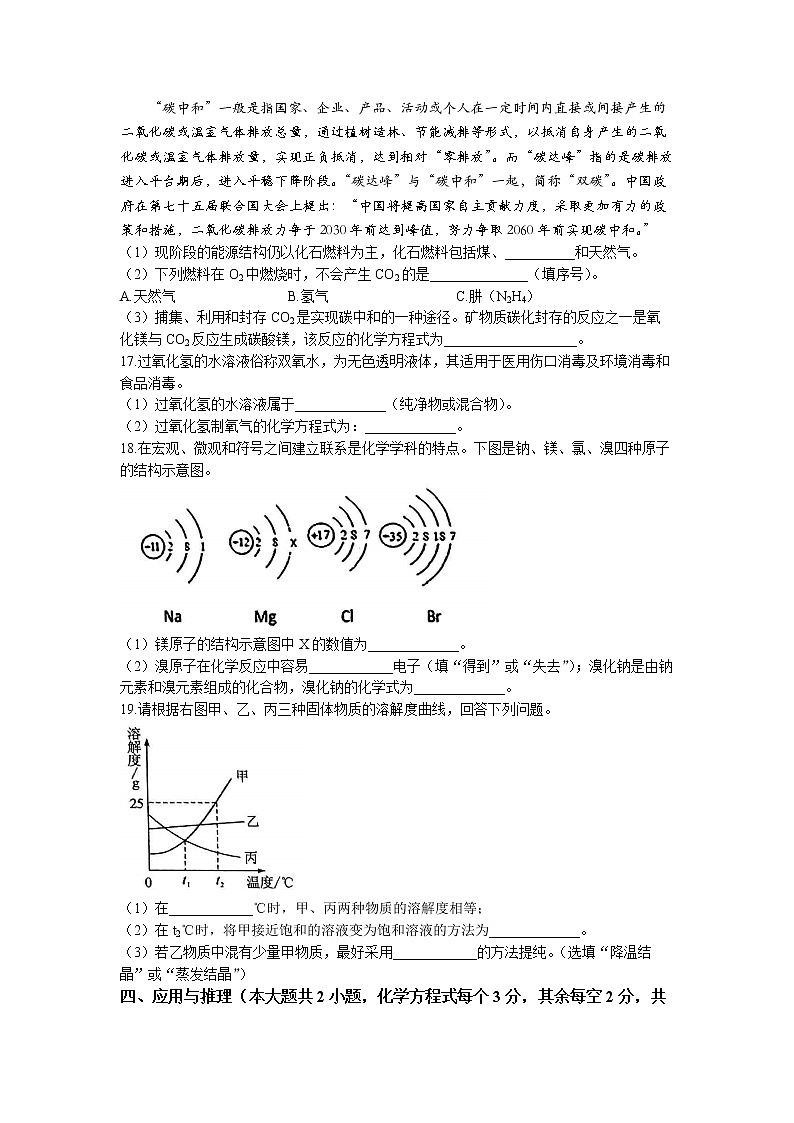湖南省长沙市雅礼教育集团2022-2023学年九年级下学期期中化学试题03
